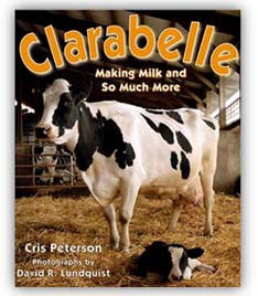 Clarabelle by Cris Peterson
